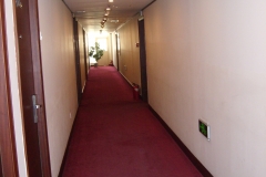 SL274535